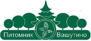 Питомник Вашутино