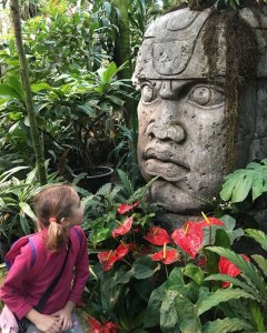 Тропические экскурсии для детей "Вкусные дары джунглей" — с 25 ноября в "Аптекарском огороде" 5