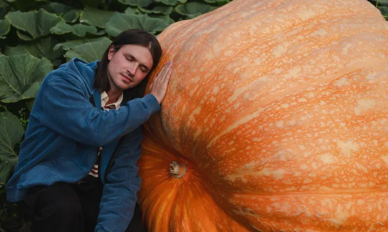 Как вырастить самую большую тыкву в России? Бесплатная лекция в Аптекарском огороде 5 октября