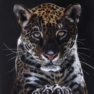 Выставка «Пульс Экватора: мир кофе и какао» открылась в Аптекарском огороде 6