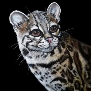 Выставка «Пульс Экватора: мир кофе и какао» открылась в Аптекарском огороде 4