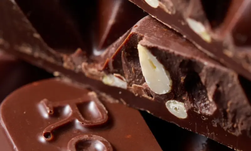 Всемирный день кофе в Аптекарском огороде 4 и 5 октября