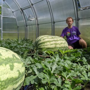 Как вырастить самый большой арбуз в мире? Бесплатные лекции 12 октября 1