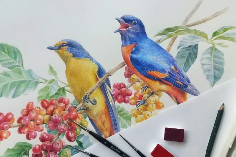 Выставка «Пульс Экватора: мир кофе и какао» открылась в Аптекарском огороде