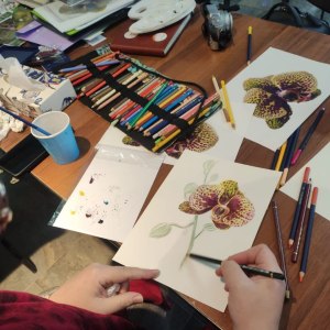 Новый сезон ботанических мастер-классов с 24 сентября: творите искусство среди природы! 1 Новый сезон ботанических мастер-классов с 24 сентября: творите искусство среди природы! 1