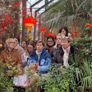 Торжественное открытие Китайского Нового года в "Аптекарском огороде": фотоотчёт 6