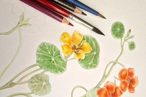 Новый сезон ботанических мастер-классов с 24 сентября: творите искусство среди природы!