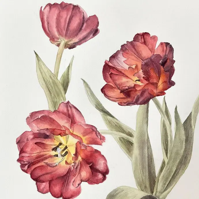 До 13 апреля — выставка ботанической иллюстрации 