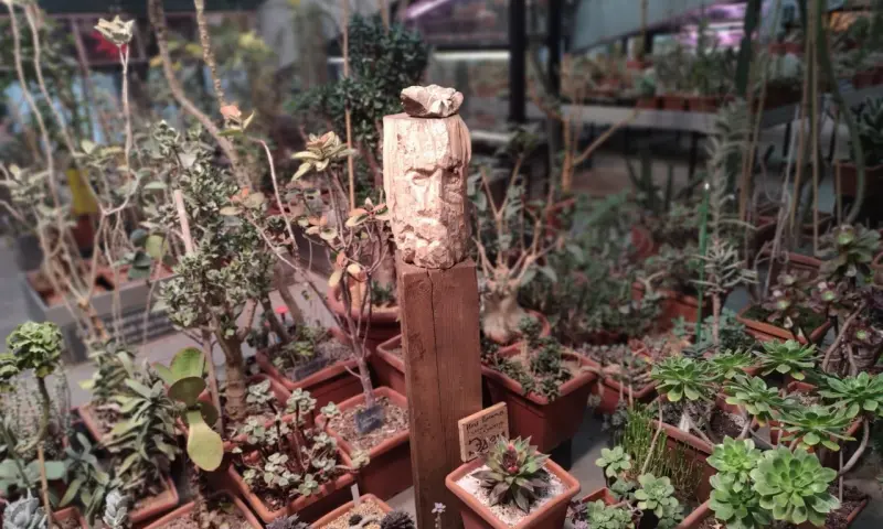 Выставка деревянных скульптур "Эдем" стартует в "Аптекарском огороде"