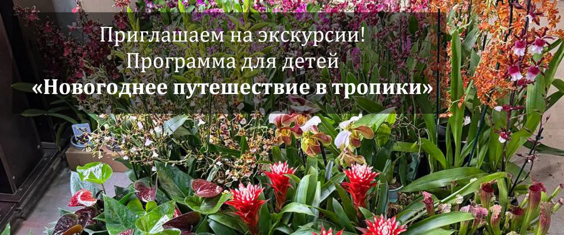 Новогоднее путешествие