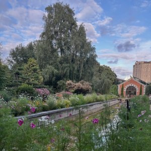 Новая экскурсия «Осень и весна разных полушарий в одном саду» — с 13 сентября 0 Новая экскурсия «Осень и весна разных полушарий в одном саду» — с 13 сентября 0