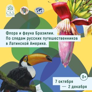 Выставка живописи «Флора и фауна Бразилии» — с 7 октября до 2 декабря в «Аптекарском огороде» 0