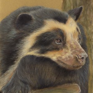 Выставка «Пульс Экватора: мир кофе и какао» открылась в Аптекарском огороде 5