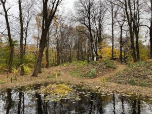 Дальневосточный сад открылся в "Аптекарском огороде" 1