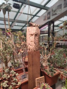 Выставка деревянных скульптур "Эдем" стартует в "Аптекарском огороде" 4