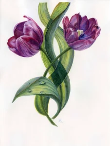 Выставка живописи «Великолепный тюльпан» открыта до 30 июня 0