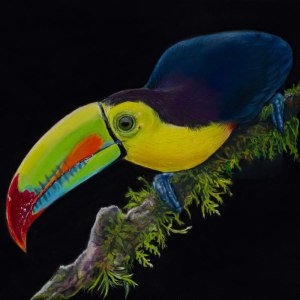 Выставка «Пульс Экватора: мир кофе и какао» открылась в Аптекарском огороде 7