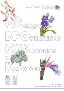 Выставка «Орхидеи, бромелиевые, суккуленты и кактусы» открыта до весны в «Аптекарском огороде» 1