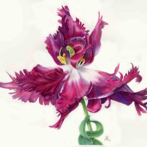 Выставка живописи «Великолепный тюльпан» открыта до 30 июня 2