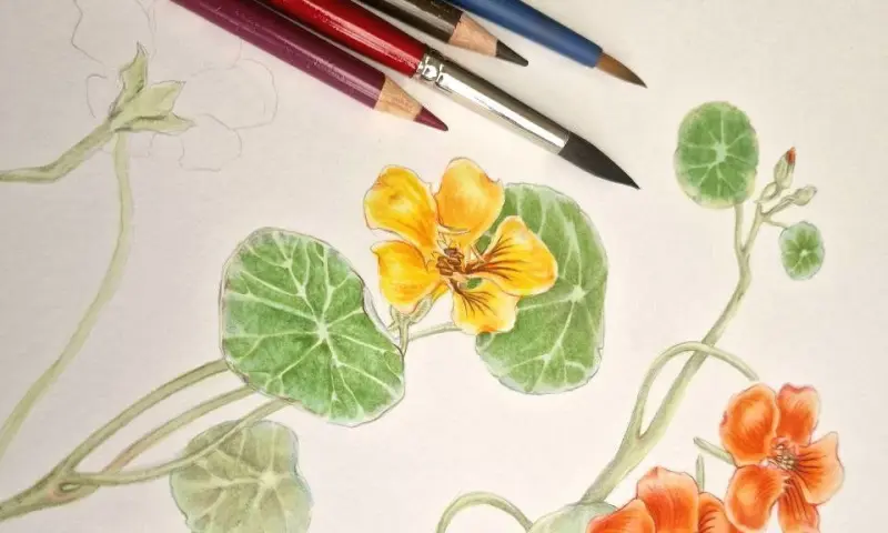 Новый сезон ботанических мастер-классов с 24 сентября: творите искусство среди природы! Новый сезон ботанических мастер-классов с 24 сентября: творите искусство среди природы!