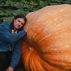 Как вырастить самую большую тыкву в России? Бесплатная лекция в Аптекарском огороде 5 октября 1