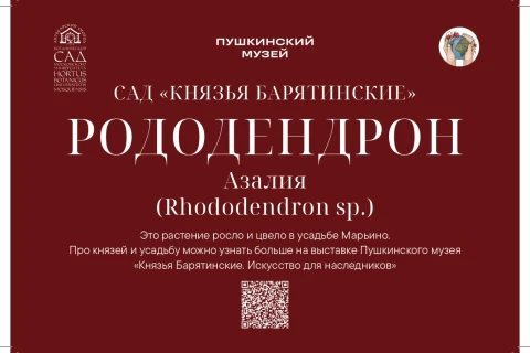 Сады Барятинских в Аптекарском огороде