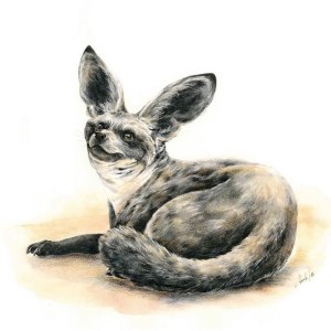 Выставка «Пульс Экватора: мир кофе и какао» открылась в Аптекарском огороде 0