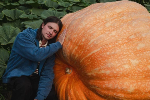 Как вырастить самую большую тыкву в России? Бесплатная лекция в Аптекарском огороде 5 октября