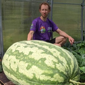 Как вырастить самый большой арбуз в мире? Бесплатные лекции 12 октября 0