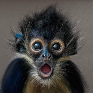 Выставка «Пульс Экватора: мир кофе и какао» открылась в Аптекарском огороде 1